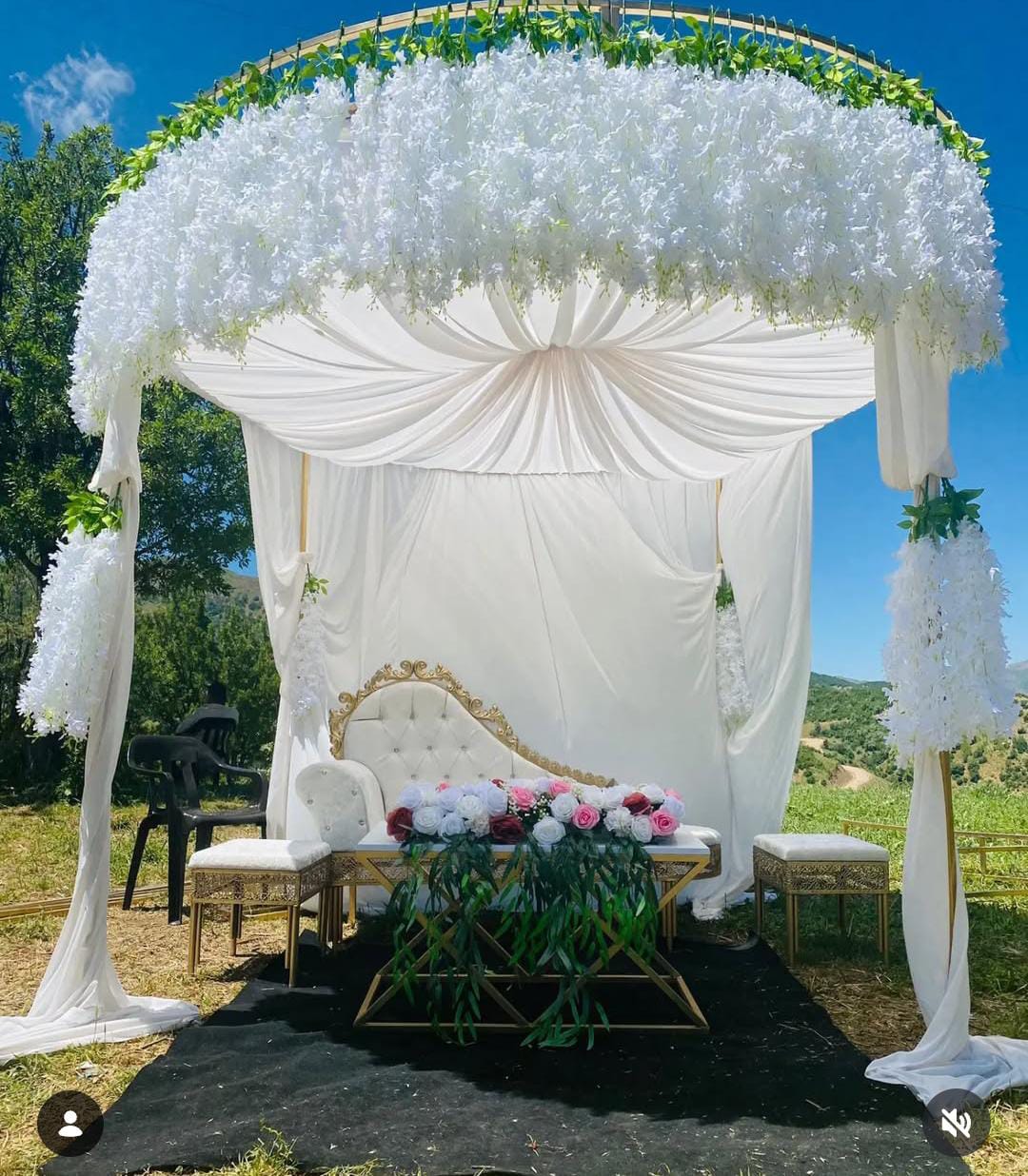 Alp Çiçekçilik & Organizasyon